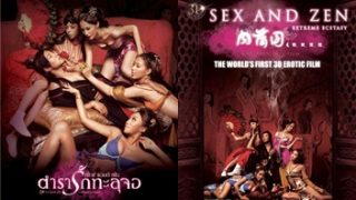 Sex and Zen: Extreme Ecstasy หนังอาร์จีนปีเก่า xxx เต็มเรื่อง ตำรารักทะลุจอ (2011) ฉากเลิฟซีนแบบสามมิติ นักปราชญ์แห่งราชวงศ์หมิงเหว่ยหยางเฉิงจับนางสนมมาเย็ดเพื่อหาความสุขทางเพศให้กับตัวเองที่เป็นคนขี้เงี่ยนสุดๆ